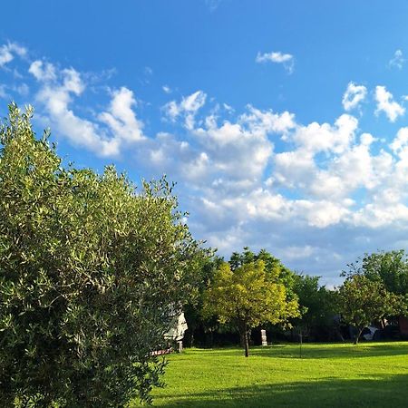 Apartman Doli Nedeščina 外观 照片
