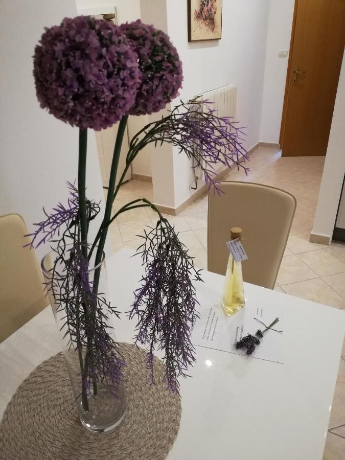 Apartman Doli Nedeščina 外观 照片