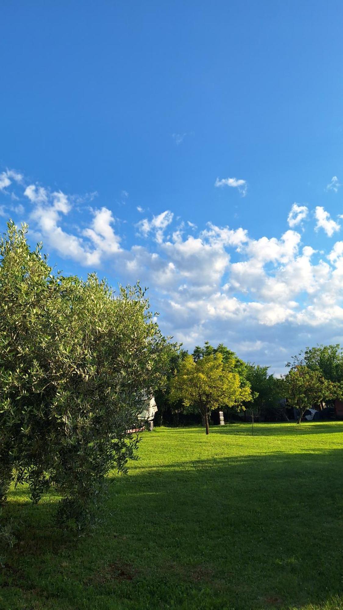 Apartman Doli Nedeščina 外观 照片