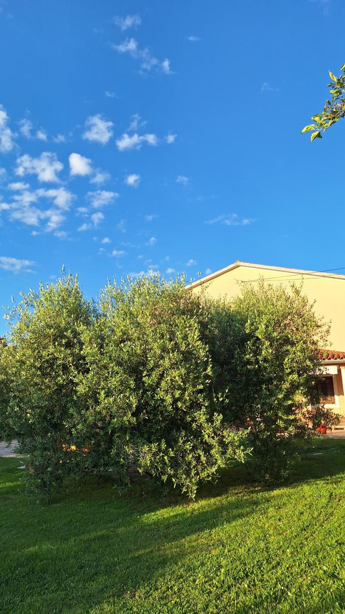 Apartman Doli Nedeščina 外观 照片